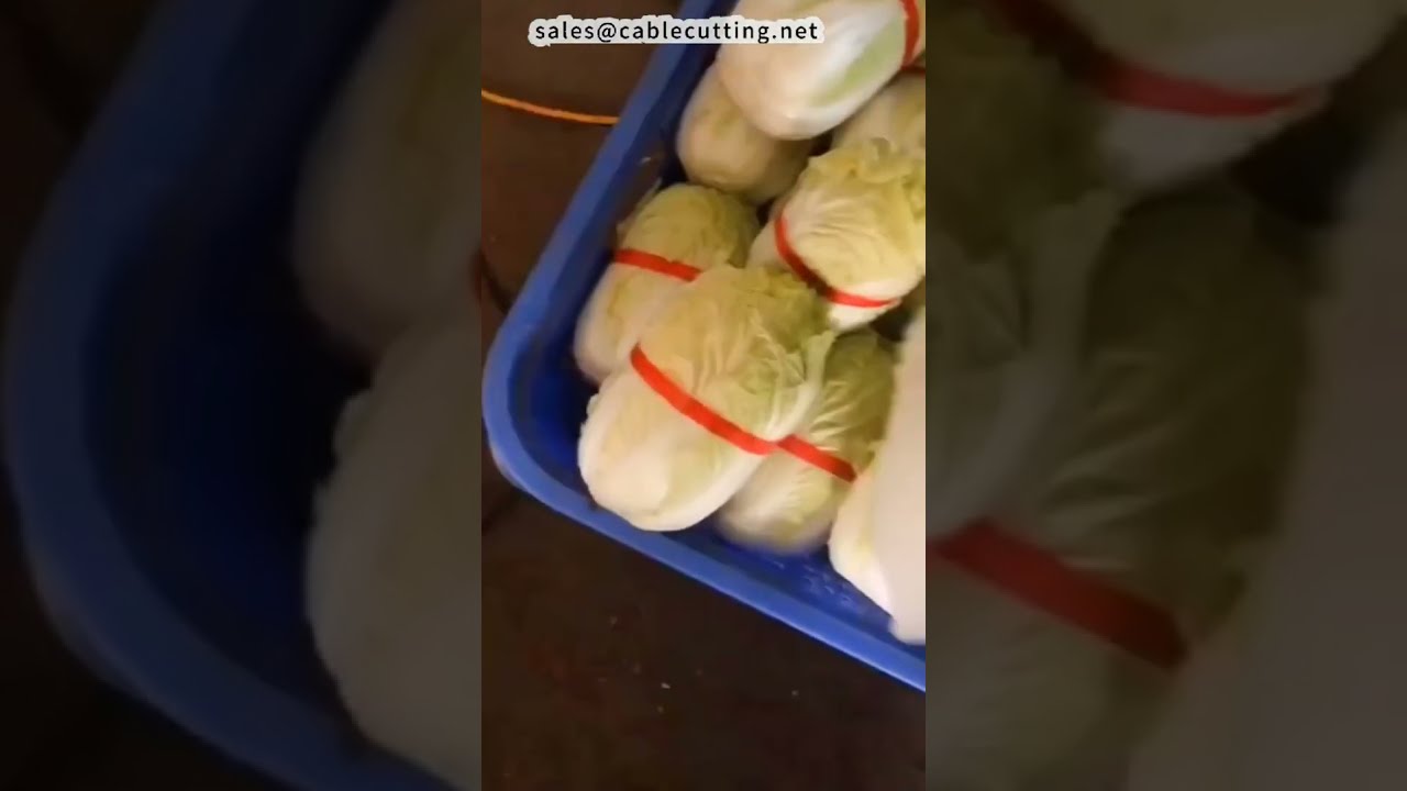 국수, 양배추, 장갑 자동 묶음기 | 공장 자동화 포장기계 #공장 #기계 #DIY