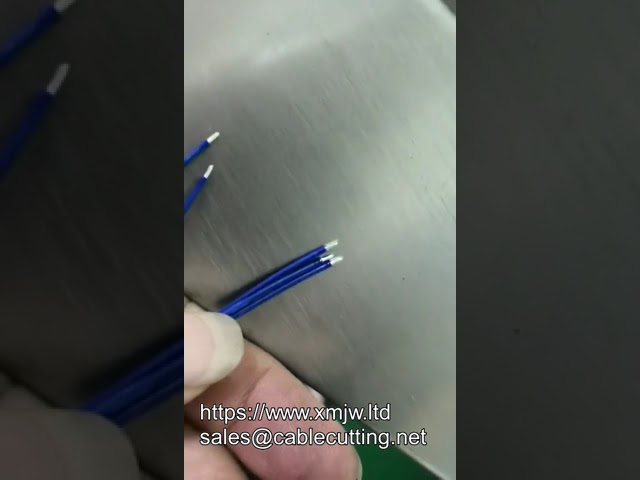 자동 단일 헤드 크림핑 딥 솔더링 머신 | 한 번에 5개 출력