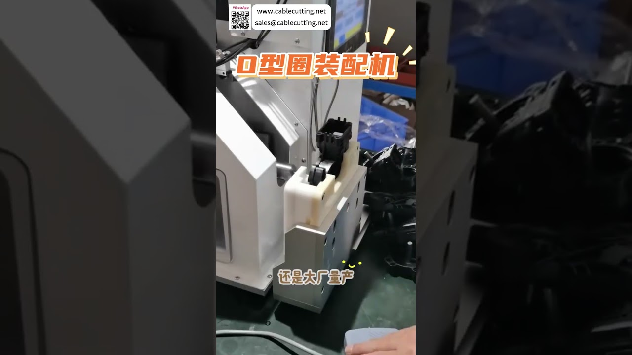 High Quality O Ring Assembly Machine Custom Automated Sealing Ring Manufacturing Machinery