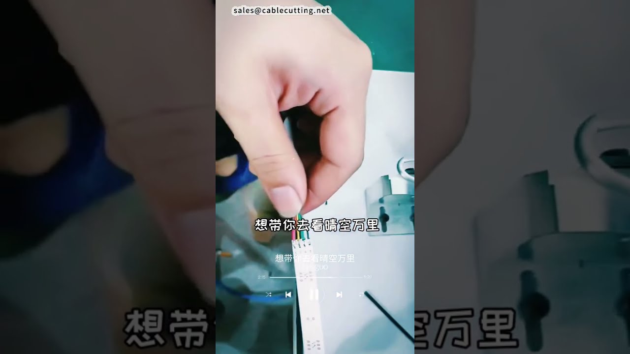 LED 스트립 납땜기 시리즈: 품질과 효율성을 갖춘 공장 자동화 납땜기 #공장 #기계 #DIY