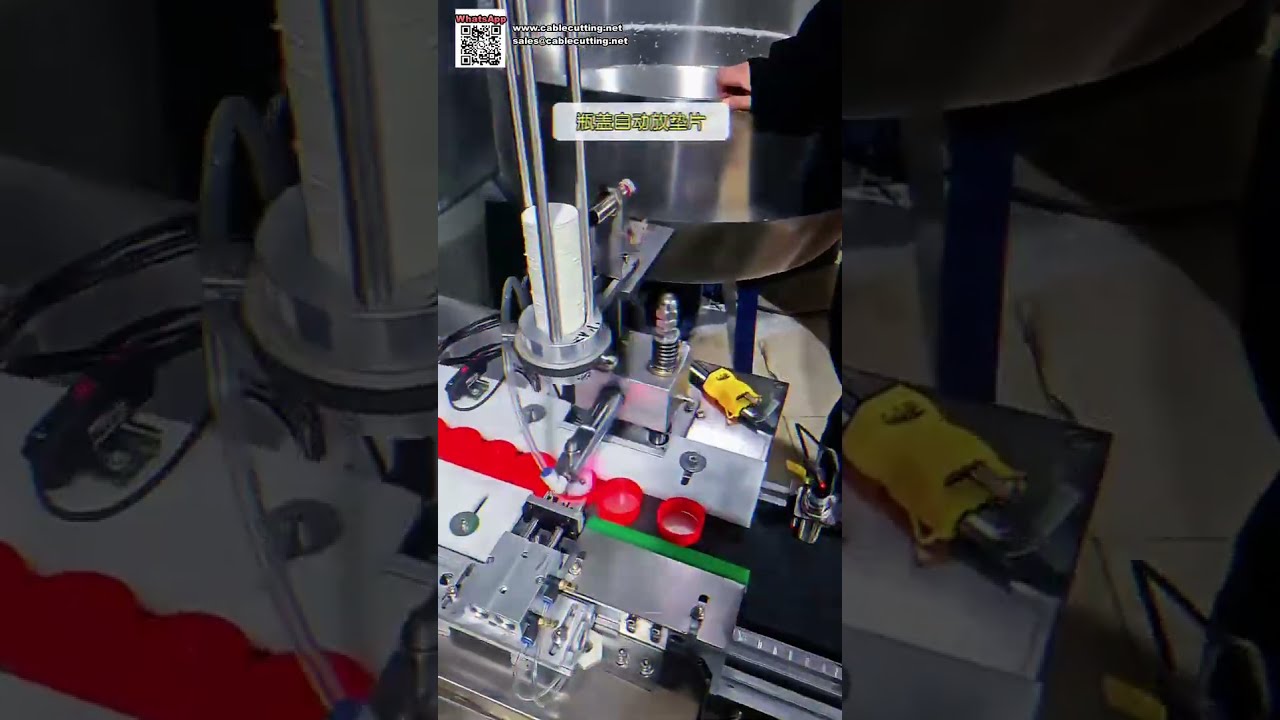 Automated Bottle Cap Assembly Machine and Metal Detection Equipment for Food Industry